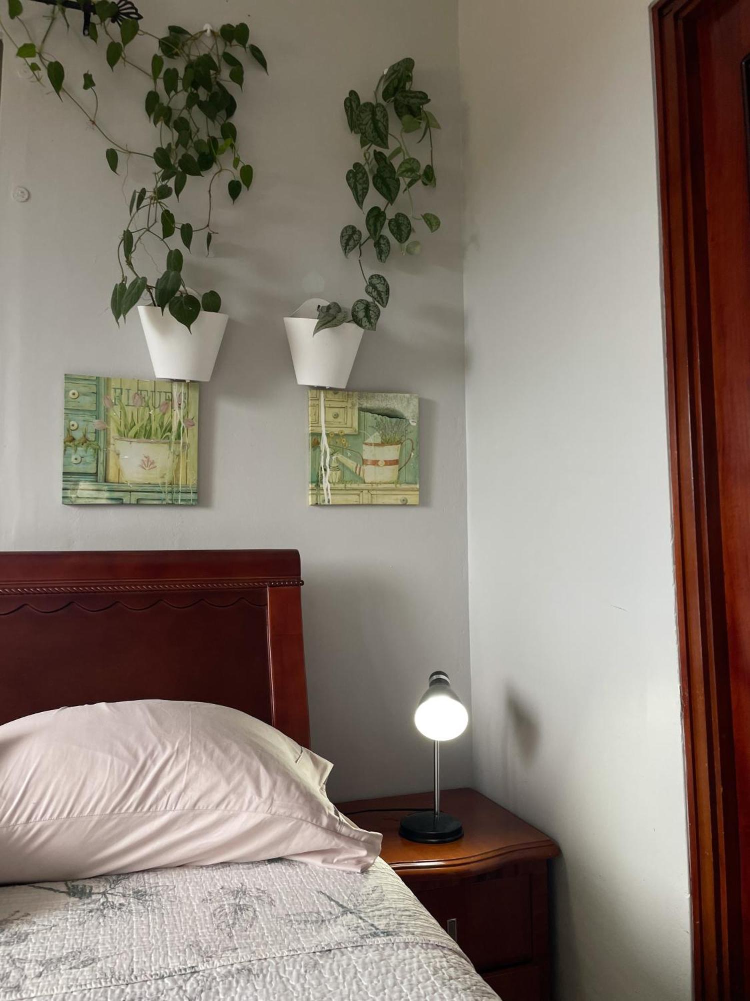 Hostel Kimmell / Hostal Familiar La Casita De Los Kimmell لاس تابلاس الغرفة الصورة